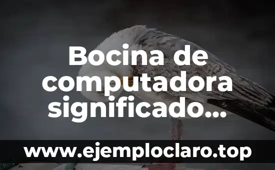 Clases de verdad y su significado 8 Bocina de computadora significado Wikipedia