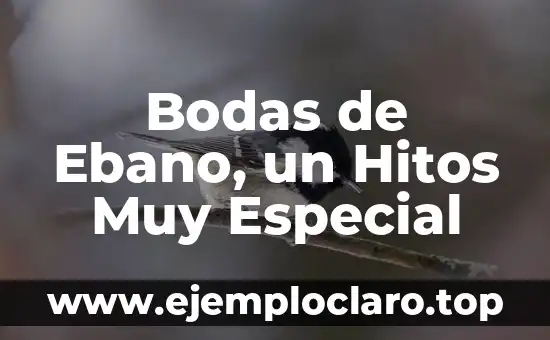 Bodas de Ebano, un Hitos Muy Especial