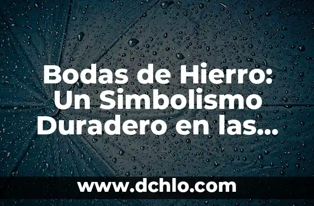 Hojas de laurel: significado y simbolismo detrás de sus hojas 8 Bodas de Hierro: Un Simbolismo Duradero en las Celebraciones Matrimoniales