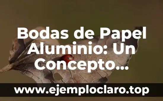 Bodas de Papel Aluminio: Un Concepto Único