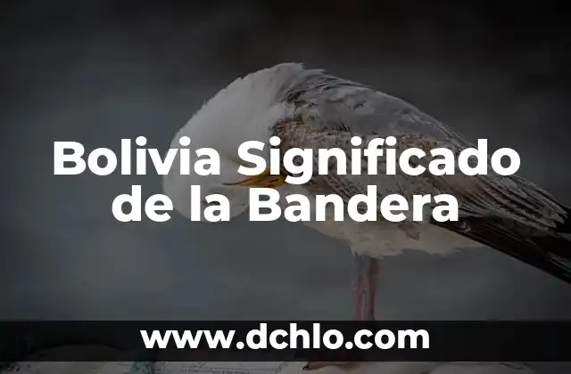 Significado de los colores de una bandera 7 Bolivia Significado de la Bandera