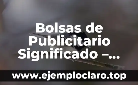 El Significado Denotativo de un Anuncio Publicitario: Guía Completa 8 Bolsas de Publicitario Significado – Una Guía Completa