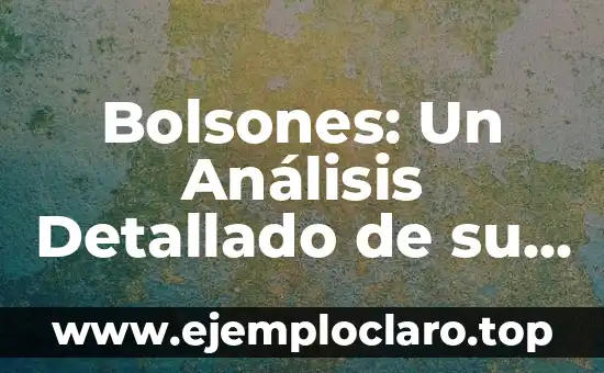 Bolsones: Un Análisis Detallado de su Significado y Características