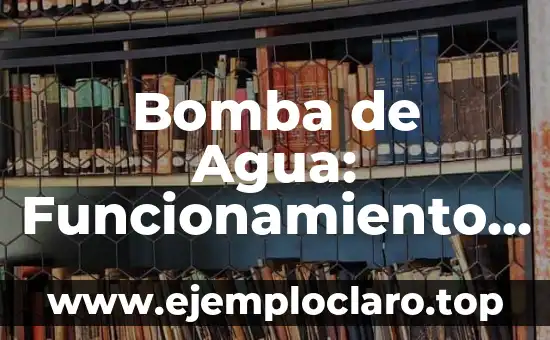 Bomba de Agua: Funcionamiento y Significado
