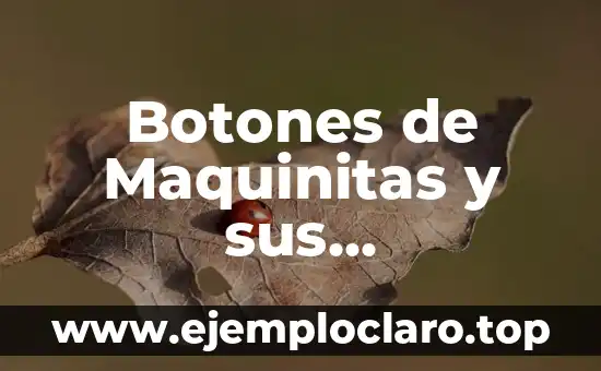 Significados de filosofía política según Bobbio 5 Botones de Maquinitas y sus Significados