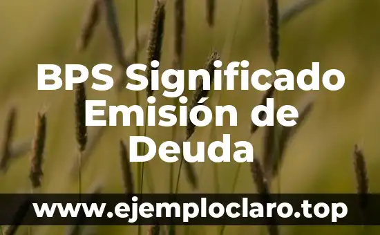 El Concepto de Biografía y su Significado 6 BPS Significado Emisión de Deuda