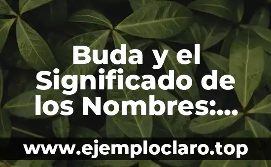 El Significado de Lógica Real 5 Buda y el Significado de los Nombres: Un Análisis Profundo