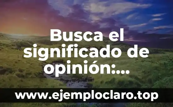 El Poder de la Personalidad Magnética 8 Busca el significado de opinión: Descubre el poder de las percepciones personales