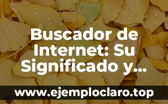 Buscador de Internet: Su Significado y Funcionamiento