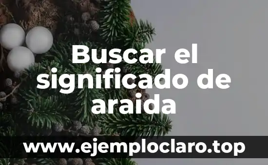 El Concepto y Significado de Zangolotear: Una Guía Completa 3 Buscar el significado de araida