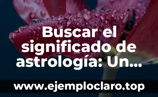 Significado y Origen de Belleza: Un Viaje a Través de la Estética 6 Buscar el significado de astrología: Un viaje a través de los astros