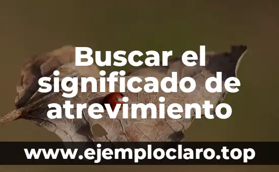 Concepto y Significado de Seguridad Ciudadana 4 Buscar el significado de atrevimiento