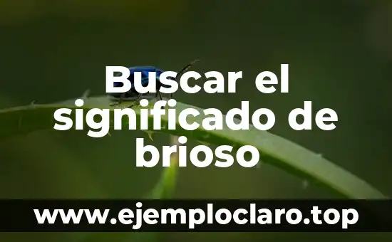 Crucigramas de significado e filosofía 5 Buscar el significado de brioso