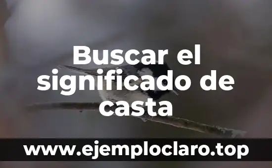 Significado y Definición de Droguería 7 Buscar el significado de casta