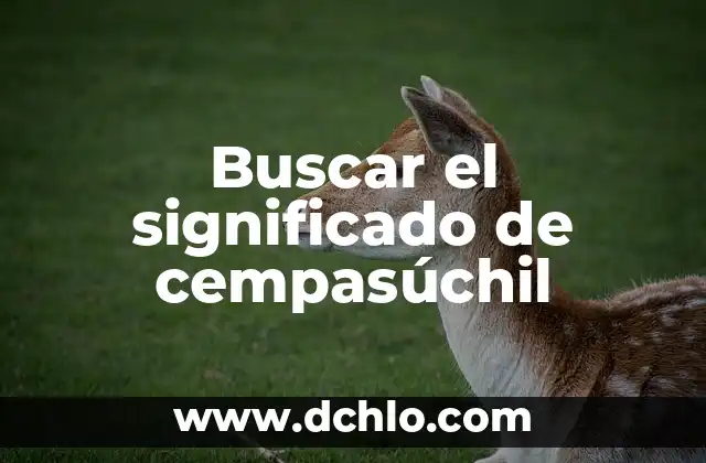 Flores de Cempasúchil que significan 5 Buscar el significado de cempasúchil