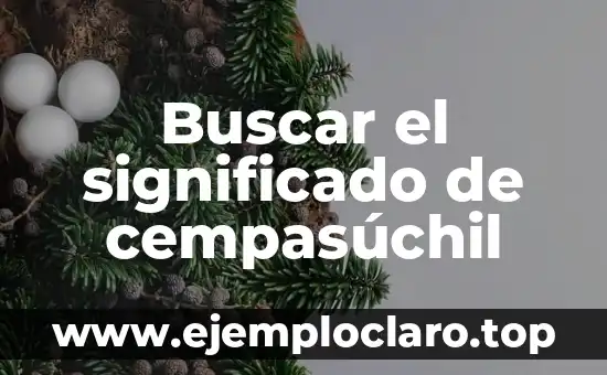 Buscar el significado de cempasúchil