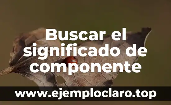 Buscar el significado de componente