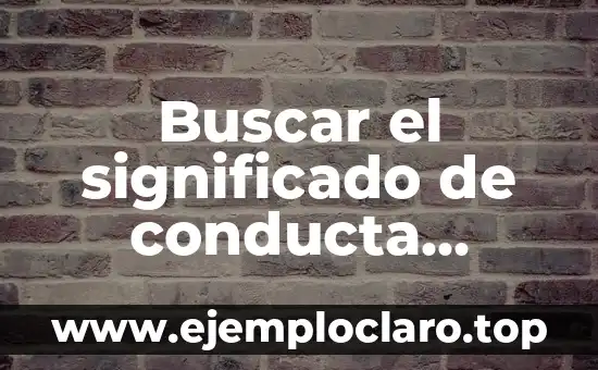 Significado y Diseño: Un Enfoque Integral al Concepto 8 Buscar el significado de conducta humana