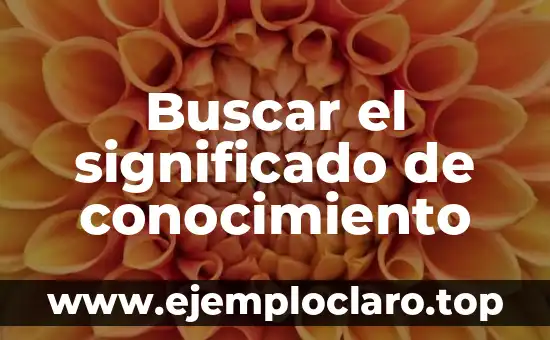 Buscar el significado de conocimiento