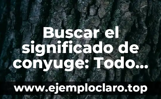 Buscar el significado de conyuge: Todo lo que debes saber