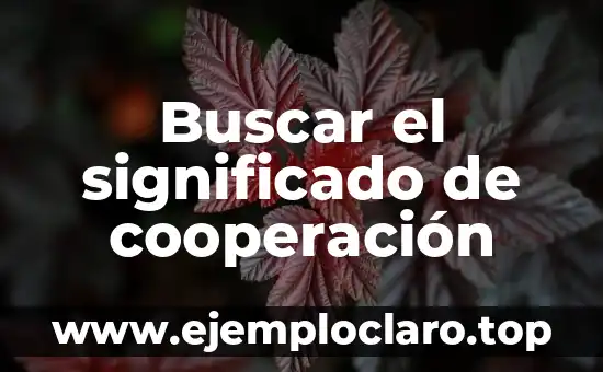 El Significado del Apapachar 4 Buscar el significado de cooperación