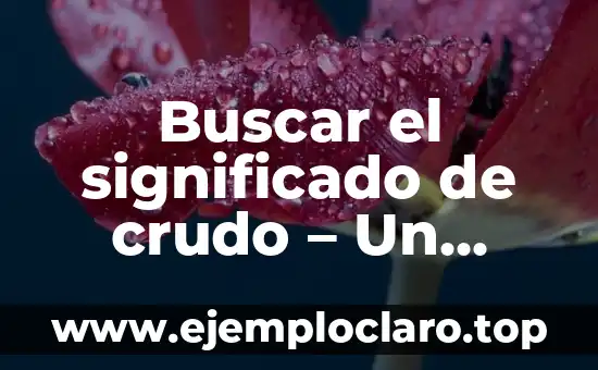 Significado y Definición de Should 4 Buscar el significado de crudo – Un viaje al origen del término