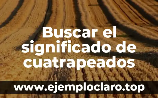 Buscar el significado de cuatrapeados