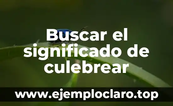 Buscar el significado de culebrear