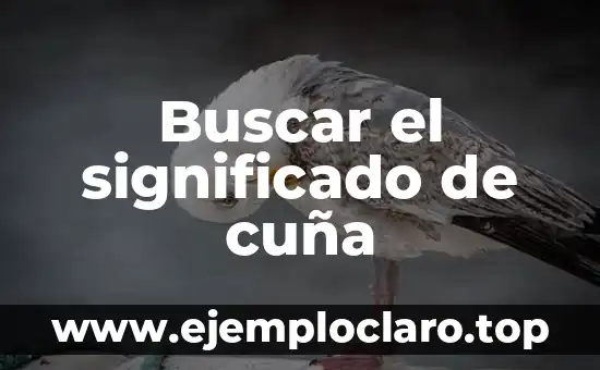 Buscar el significado de cuña