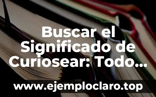 Buscar el Significado de Curiosear: Todo Sobre el Acto de Curiosidad