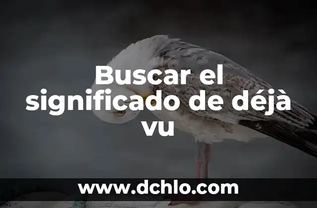 Buscar el significado de concepto 8 Buscar el significado de d茅j脿 vu