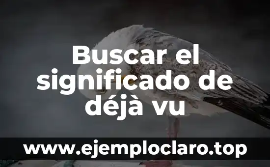 Buscar el significado de déjà vu