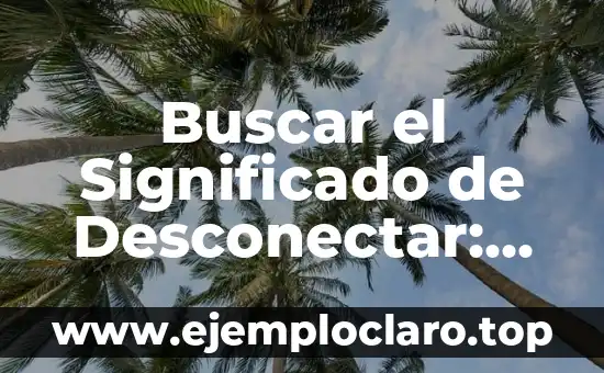 El Significado del Apapachar 8 Buscar el Significado de Desconectar: Un Viaje Hacia el Silencio Interior