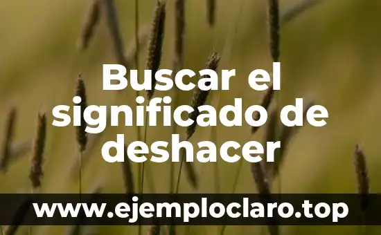 Buscar el significado de deshacer