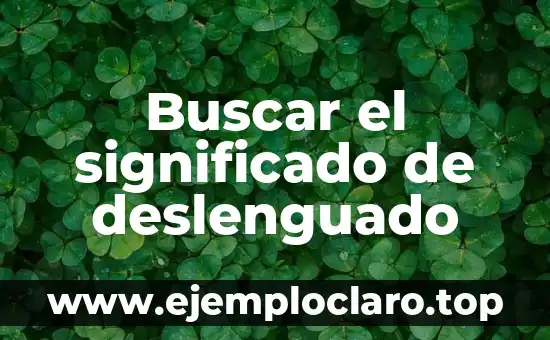 Buscar el significado de deslenguado
