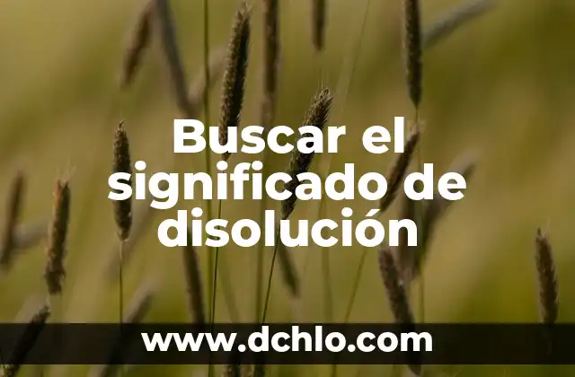 El significado y concepto de disfagia 5 Buscar el significado de disolución