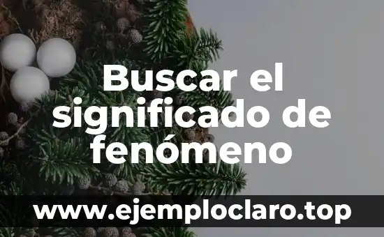 ¿Qué ha pasado con Cuentos Chinos? El fenómeno de la desaparición de una tradición oral 6 Buscar el significado de fenómeno