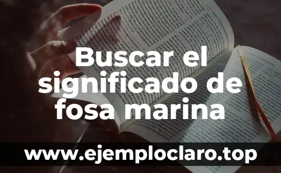 El significado de nada xd: Un Análisis Profundo 8 Buscar el significado de fosa marina
