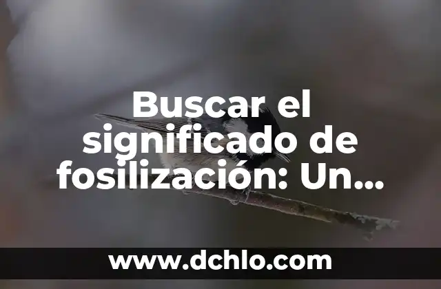 Buscar el significado de hambre 5 Buscar el significado de fosilización: Un viaje al pasado