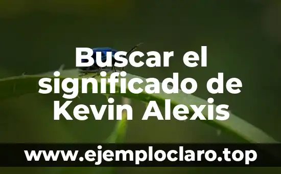 El significado de nada xd: Un Análisis Profundo 6 Buscar el significado de Kevin Alexis