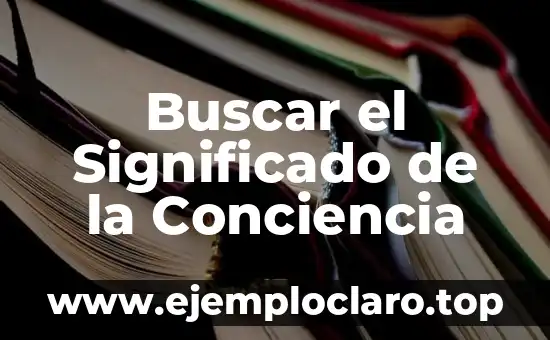 Buscar el Significado de la Conciencia