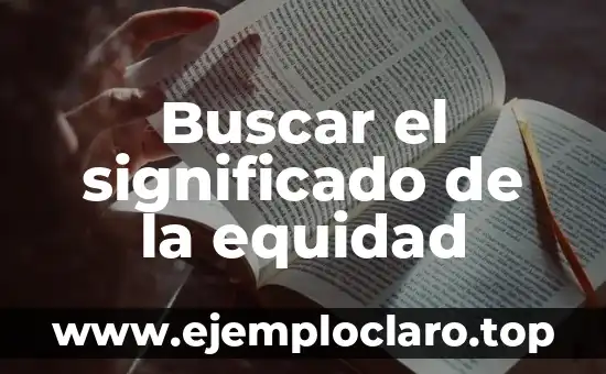 Significado y Diseño: Un Enfoque Integral al Concepto 4 Buscar el significado de la equidad