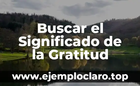 Frases para un amigo de verdad: Expresiones de aprecio y gratitud 3 Buscar el Significado de la Gratitud