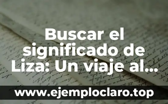 El Significado Simbólico de la Seda: Un Viaje a Través de la Historia y la Cultura 5 Buscar el significado de Liza: Un viaje al origen de los nombres