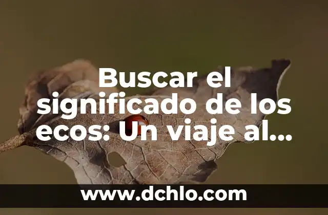 Significado y Concepto de Alma 4 Buscar el significado de los ecos: Un viaje al corazón de las resonancias