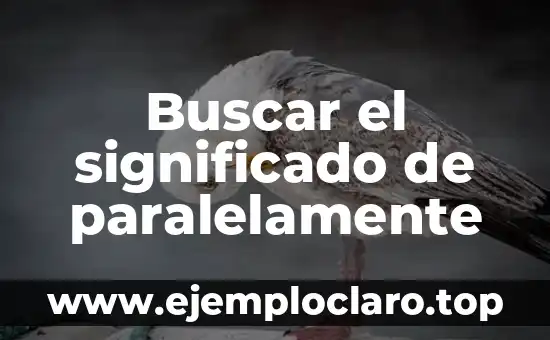 El Simbolismo de la Estrella de David: Significado y Orígenes 3 Buscar el significado de paralelamente