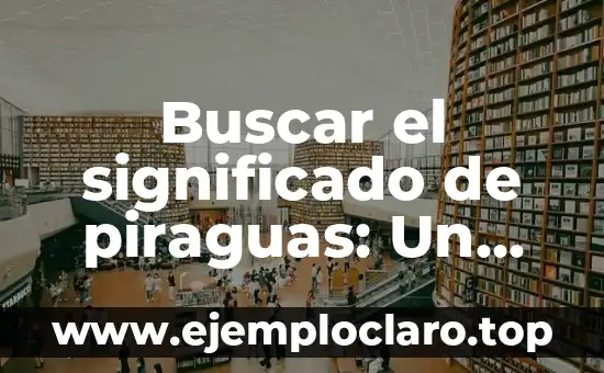 ¿Quién encontró los restos del Titanic? Descubre la historia detrás de este descubrimiento histórico 6 Buscar el significado de piraguas: Un viaje cultural y histórico