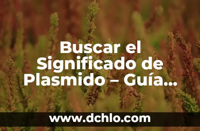 Buscar el Significado de Querrence: Un Viaje a la Búsqueda de la Verdad 4 Buscar el Significado de Plasmido – Guía Completa y Detallada