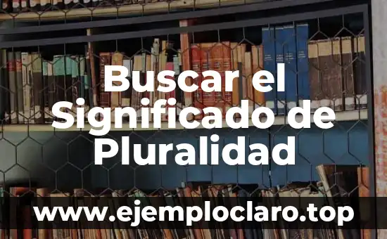 Significado del Valor de Pluralidad 4 Buscar el Significado de Pluralidad
