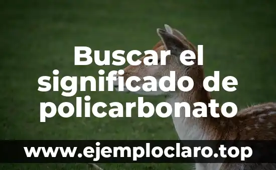 El Simbolismo de la Estrella de David: Significado y Orígenes 8 Buscar el significado de policarbonato